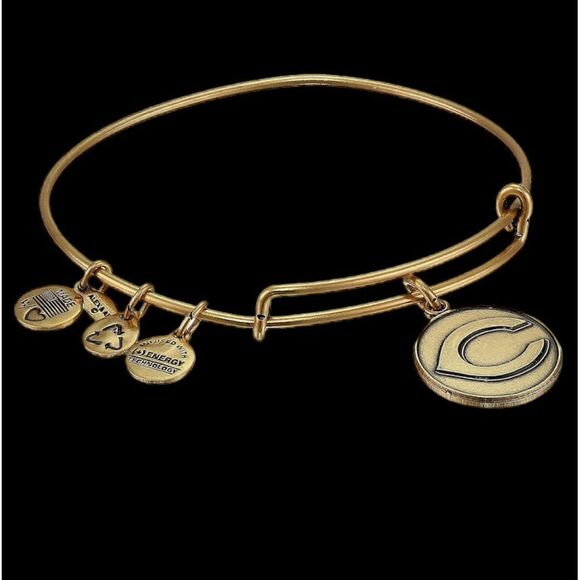Alex and Ani MLB® Cincinnati Reds Charm Bangle Rafaelian Gold Finish! - Picture 6 of 6